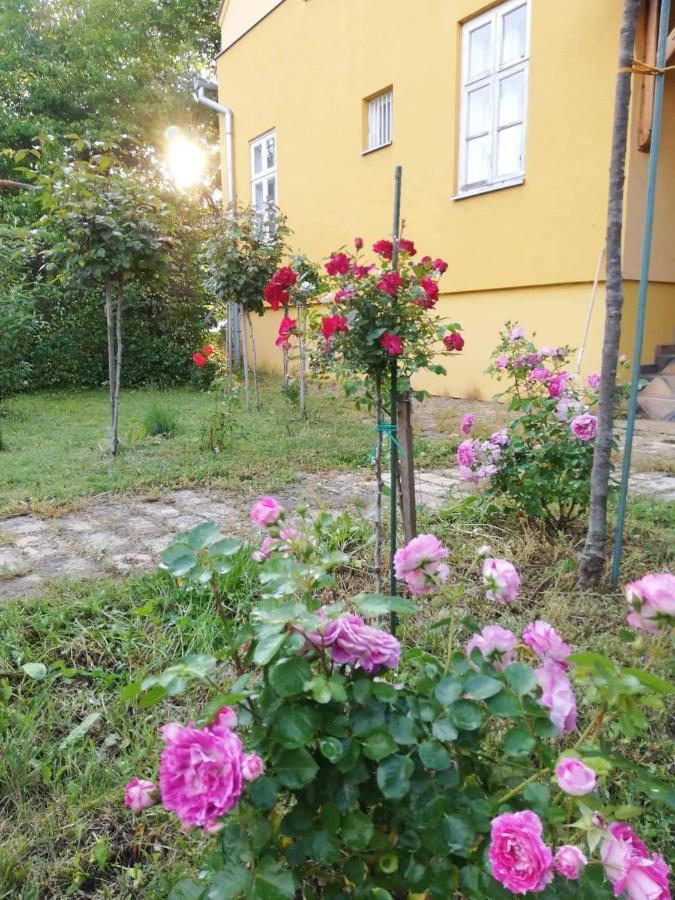 Szorcsik Haz 1913 Appartement Senta Buitenkant foto